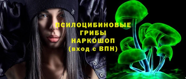 сатива Осинники