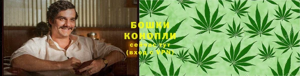 крисы Богородицк