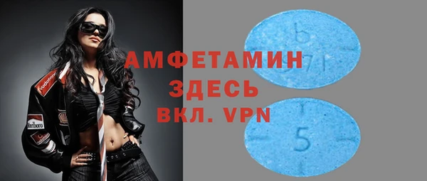 сатива Осинники