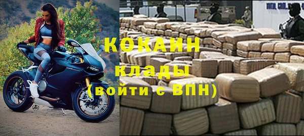 сатива Осинники