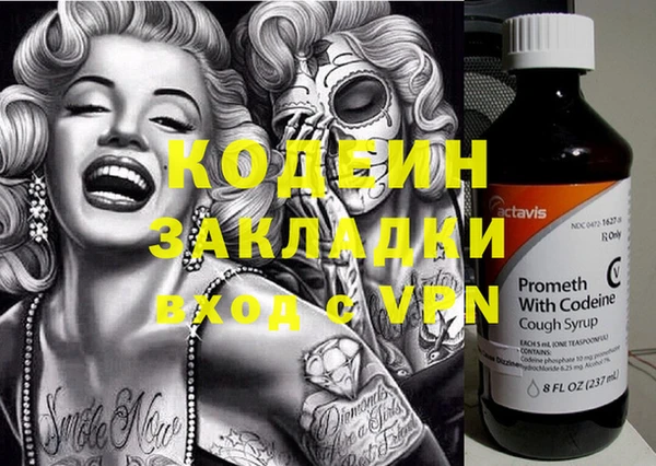 сатива Осинники