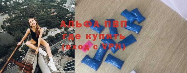 сатива Осинники
