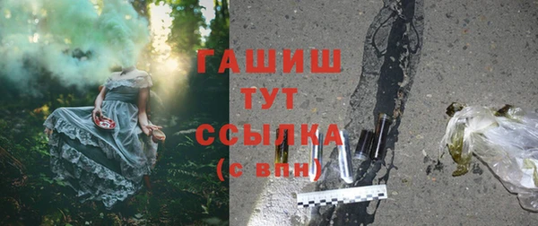 сатива Осинники