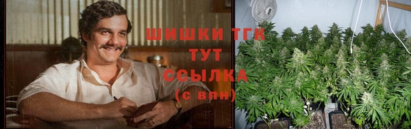 экстази Осташков