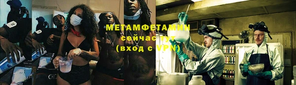 сатива Осинники