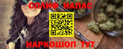 гашик Гусев