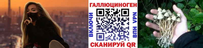 как найти   Томск  OMG рабочий сайт  Галлюциногенные грибы Magic Shrooms 