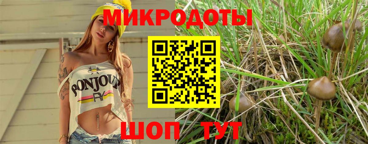Галлюциногенные грибы GOLDEN TEACHER Томск