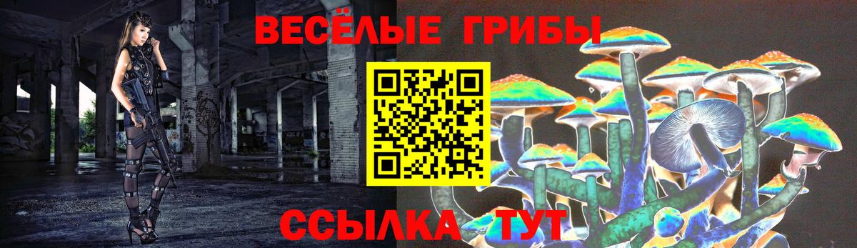 Томск  Псилоцибиновые грибы Psilocybe  Галлюциногенные грибы Psilocybe  сколько стоит  Вход с VPN 